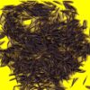 Cerfeuil - FRISE DOUBLE