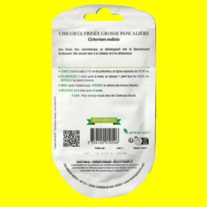 Chicorée frisée - PANCALIERE (3gr)