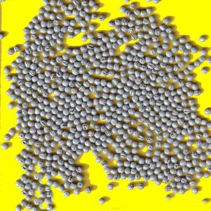 Chou cabu - COUNTER F1 (blanc automne/hiver)