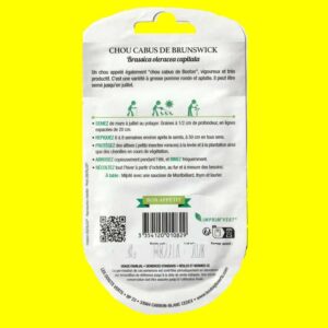 Chou cabus - BRUNSWICK (blanc) (5gr)