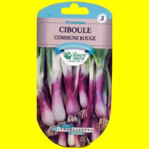 Ciboule commune rouge (2gr)
