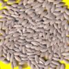 Concombre - MARKETER (demi-long de pleine terre)