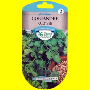 coriandre-cultivee Coriandre cultivée (10g)