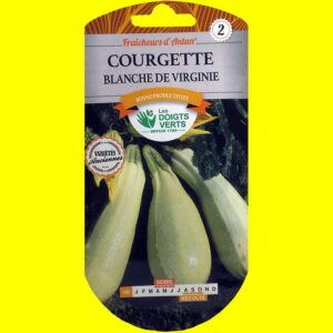 courgette-blanche-de-virgin Courge / Courgette - BLANCHE DE VIRGINIE (5gr)