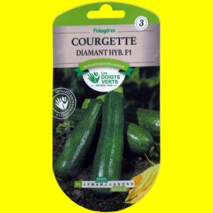 courgette-diamant-hyb-f1 Courge / Courgette - DIAMANT F1 (4gr)