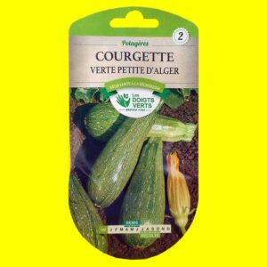 courgette-verte-petite-d'al Courge / Courgette - VERTE PETITE D'ALGER (6gr)