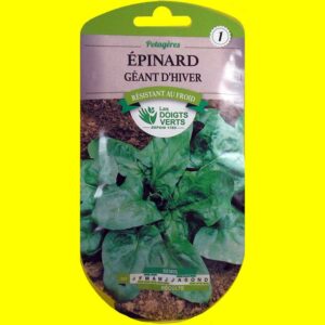 epinard-geant-d'hiver Epinard - Géant d'Hiver (10gr)