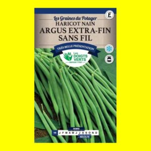 haicot-nain-argus-extra-san Haricot Mangetout Vert Nain - ARGUS (200 graines)