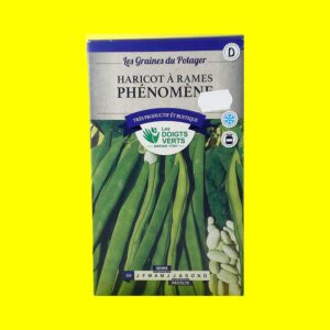 haricot-à-rames-phenomene Haricot Mangetout à Rame - Phenomene vert (200gr)
