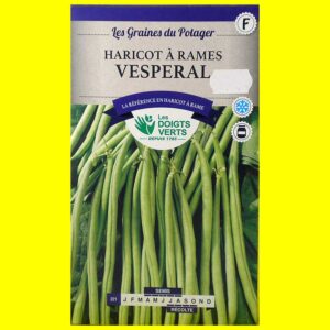 haricot-a-rames-vesperal Haricot Mangetout à Rame - VESPERAL (vert) (100gr)