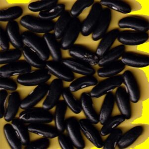 Haricot jaune mangetout plat - RAMDOR