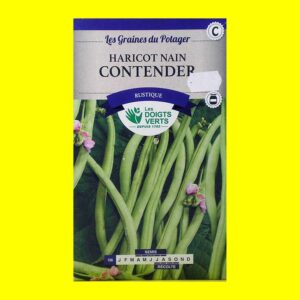 haricot-nain-contender Haricot vert - CONTENDER (200gr)