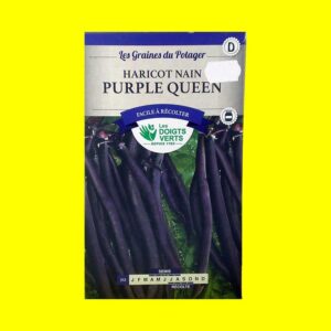 haricot-nain-purple-queen- Haricot Mangetout Violet Nain - PURPLE QUEEN (200gr)