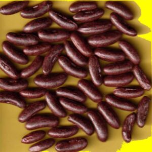 Haricot mangetout grimpant - SOMBRA