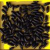 Haricot vert - NAUTICA