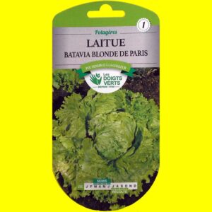Laitue Batavia verte - Batavia blonde de Paris (4gr)