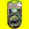 Laitue Batavia verte - DE PIERRE BENITE (5gr)