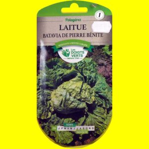 Laitue Batavia verte - DE PIERRE BENITE (5gr)