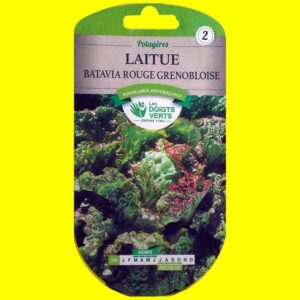 Laitue - GRENOBLOISE (rouge pommée Batavia) (5gr)