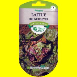 laitue-brune-d'hiver Laitue d'automne / hiver - BRUNE D'HIVER (4gr)