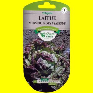 laitue-des-4-saisons Laitue pommée de printemps - Merveille 4 saisons (2gr)