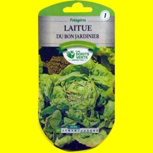 laitue-du-bon-jardinier Laitue pommée d'été - Du Bon Jardinier (3gr)