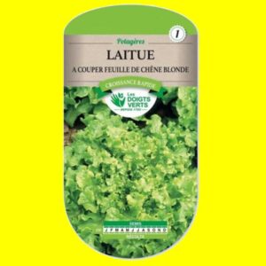 laitue-feuille-de-chene-blo Laitue - Feuille de chêne blonde (4gr)