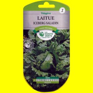 laitue-iceberg-saladin Laitue iceberg - SALADIN (2gr)
