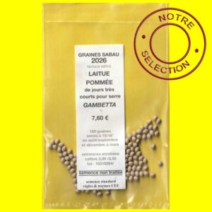 Laitue de serre - GAMBETTA (semences enrobées)