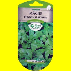 mache-ronde-maraichere Mâche / salade de blé - Ronde Maraîchère (5gr)