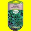 Mâche / salade de blé - VERTE DE CAMBRAI (6gr)