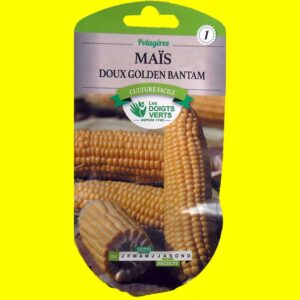 mais-doux-golden-bantam Maïs - doux sucré GOLDEN BANTAM (8gr)