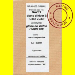 navet-blanc-d'hiver-globe-d Navet - GLOBE (à collet violet)