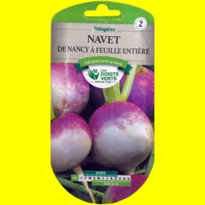 navet-de-nancy-a-feuille-en Navet - Globe de Nancy (8gr)
