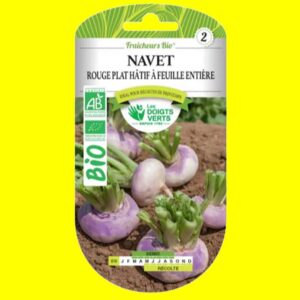 navet-rouge-plat-hatif-a-fe Navet - Rouge plat hatif a feuille entiere (bio) (3gr)