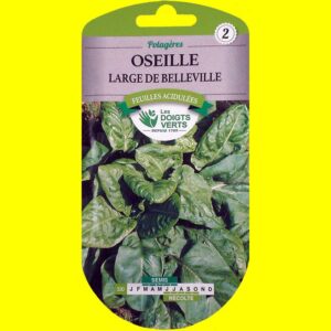 oseille-large-de-belleville Oseille - Belleville (5gr)