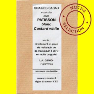 Courgette - Patisson blanc CUSTARD WHITE