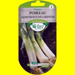 poireau-monstrueux-de-caren Poireau - de CARENTAN (monstrueux d'hiver) (7gr)
