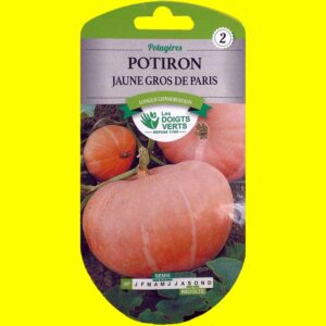 potiron-jaune-gros-de-paris Potiron - Jaune gros de Paris (7gr)