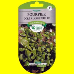 Pourpier - Doré à large feuilles (5gr)