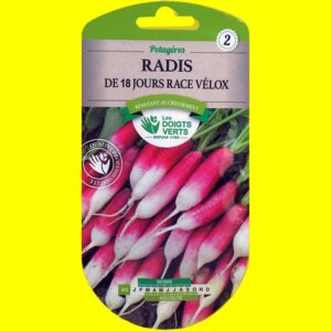 radid-de-18-jours-race-velo Radis - Dix Huit Jours (15gr)
