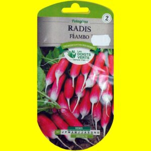 radis-flamboyant Radis - FLAMBOYANT (demi-long rose à bout blanc) (15gr)