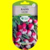 Radis - GAUDRY (12gr)