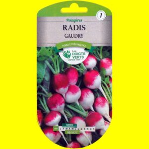 radis-gaudry Radis - GAUDRY (12gr)