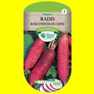 radis-hiver-rose-de-chine Radis - Hiver de Chine (12gr)