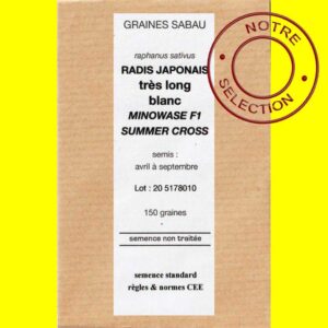 radis-japonais-minowase-f1- Radis long blanc - MINOWASE CROSS F1