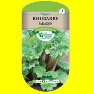 Rhubarbe - PARAGON (1,5gr)