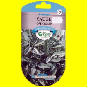 sauge-officinale Sauge officinale (2gr)