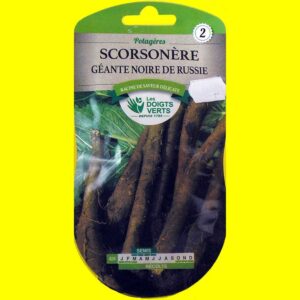 Scorsonère - Géante noire (6gr)