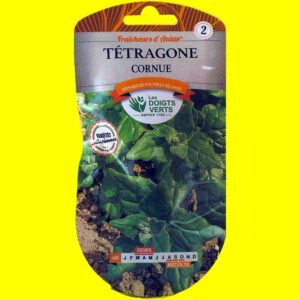 Tetragone - Cornue (6gr)